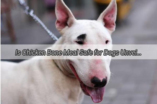 Is Chicken Bone Meal Safe for Dogs Unveiling the Truth Behind This Popular Pet Supplement